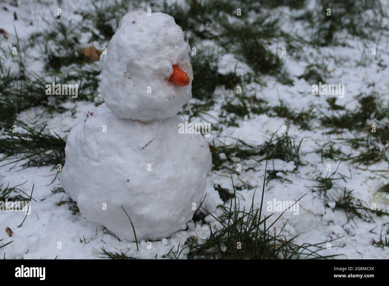 Snowman with carrot for nose Stock Photo
