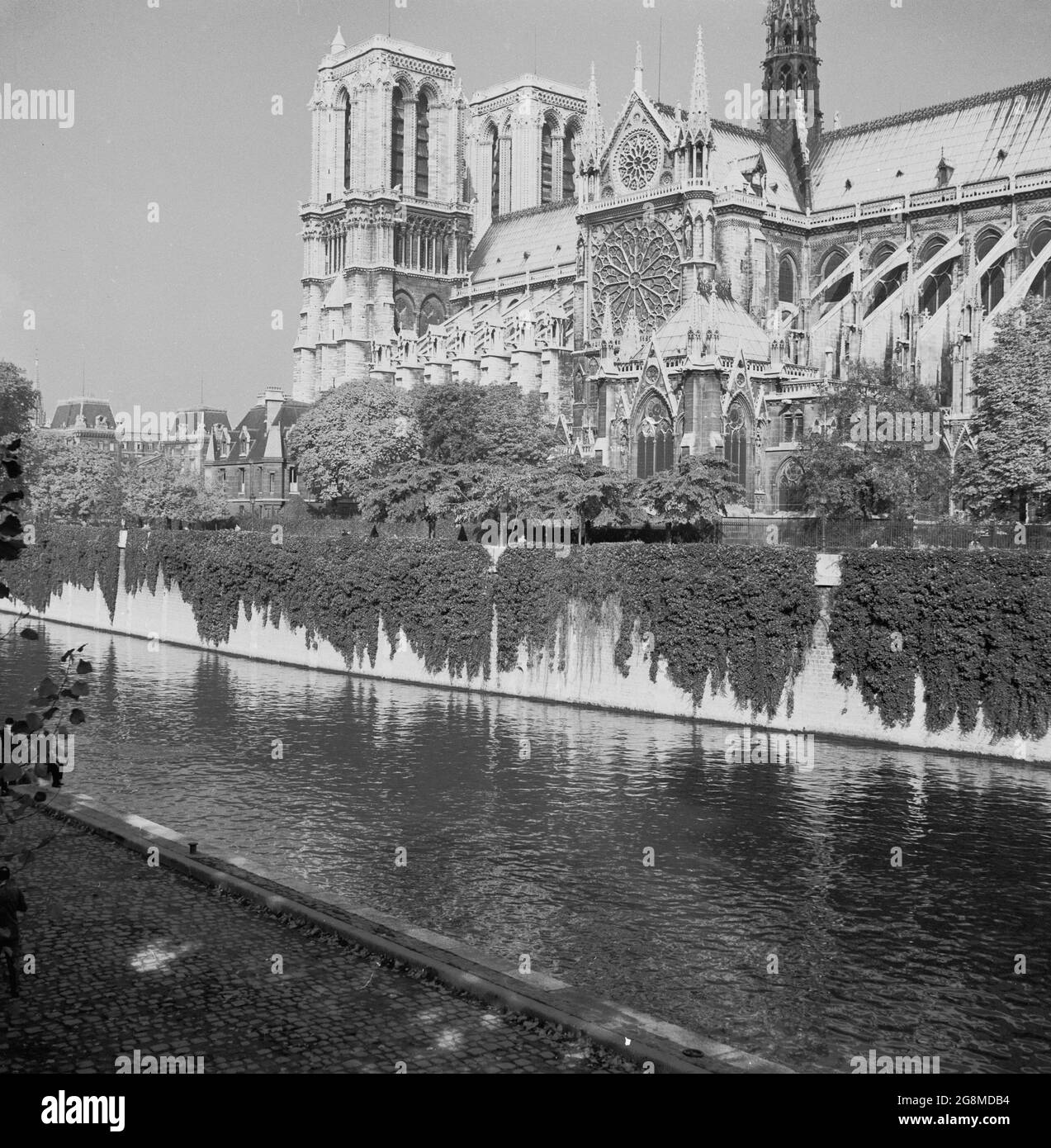 1950s, historical, view from this era across the river Seine, of the exterior of the famous Notre-dame cathedral, Paris, France. A medieval Catholic church on the IIe de la Cite in the 4th arrondissement of the city, it is considered one of the finest examples of French Gothic architecture. Stock Photo