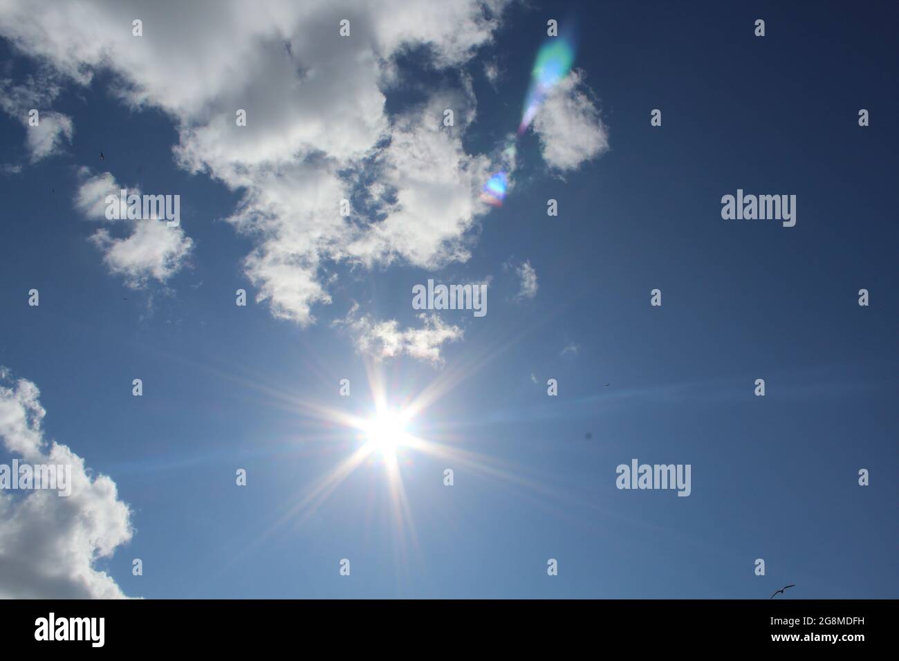 sun shining in the daytime Stock Photo