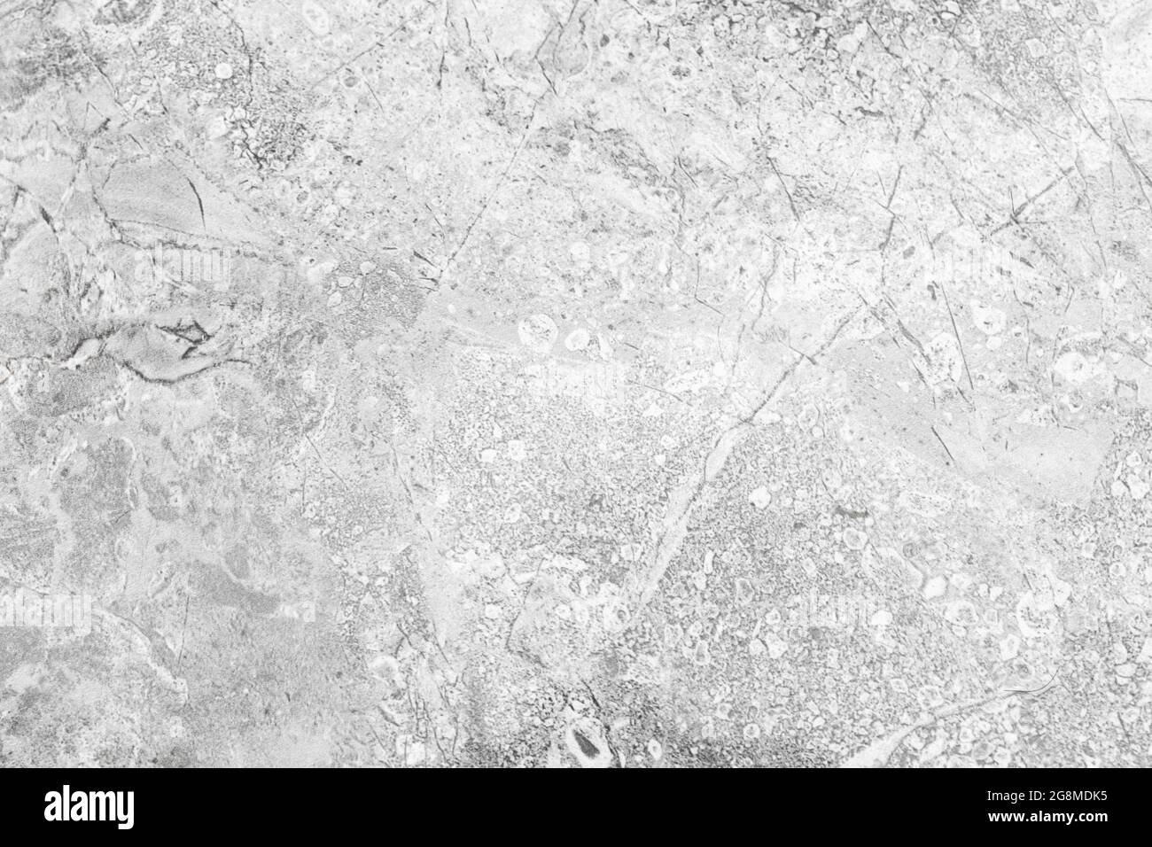White marble stone texture background, high detailed surface photo Stock Photo