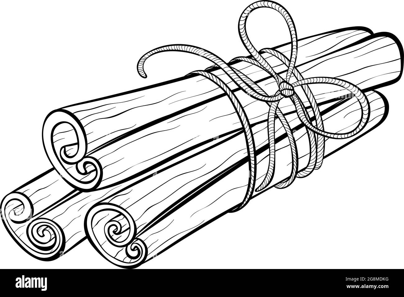 Cinnamon sticks tied with rope Stock Vector