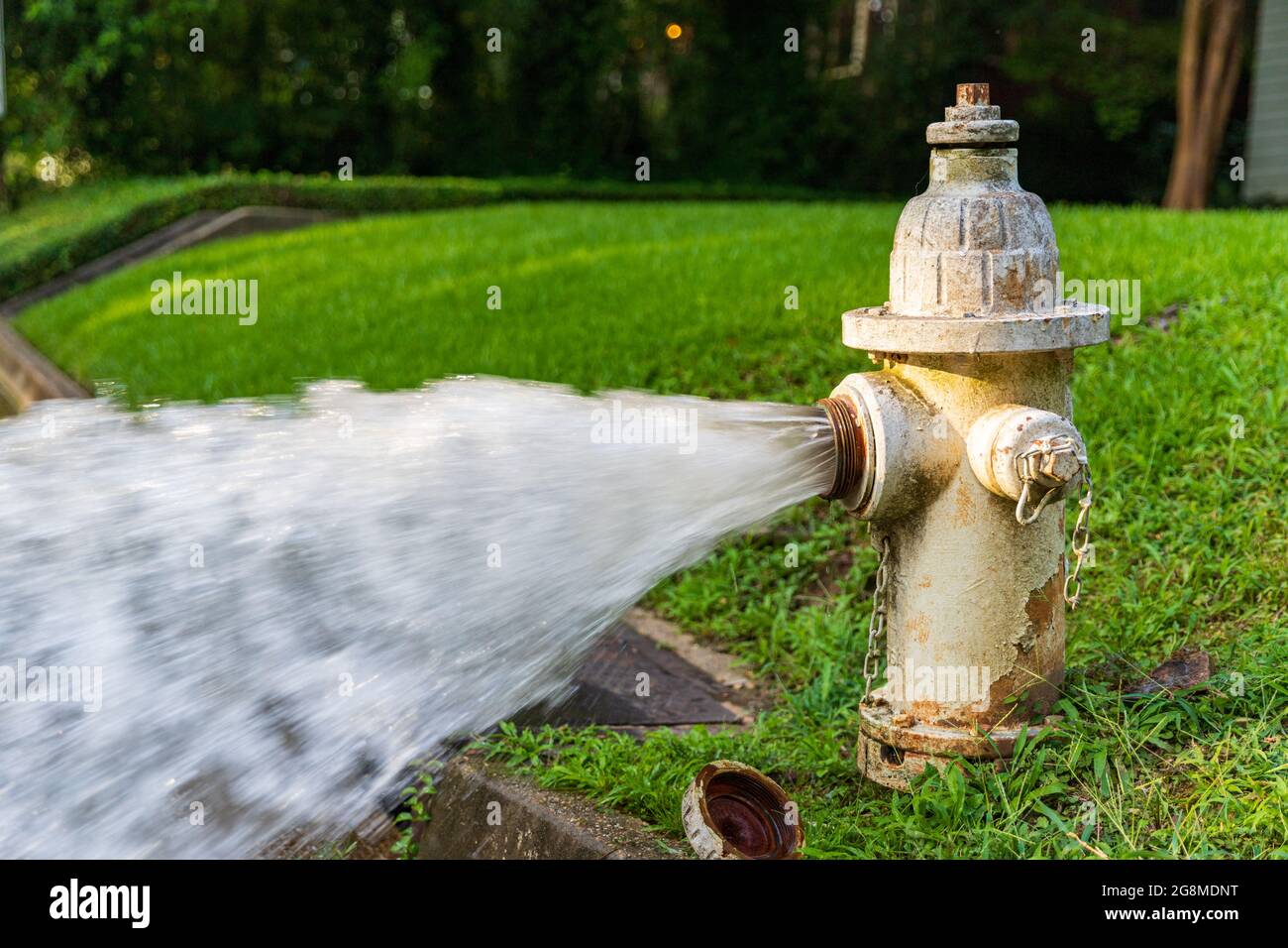 Water spewing out of open Fire Hydrant Stock Photo Alamy