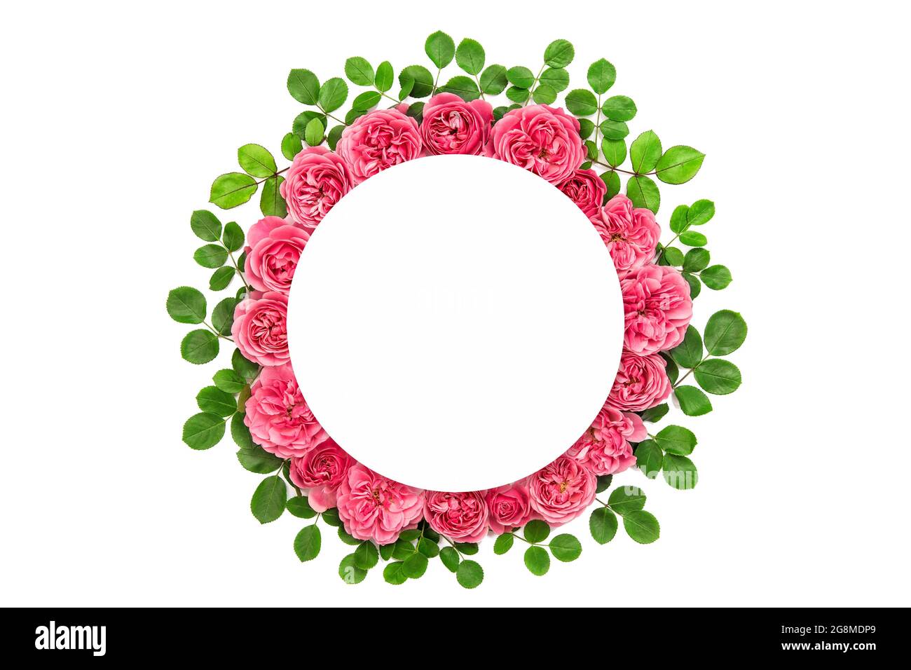 Round white paper mockup. Rose flower wreath. Roses with green leaves isolated on white background. Flower wreath Stock Photo