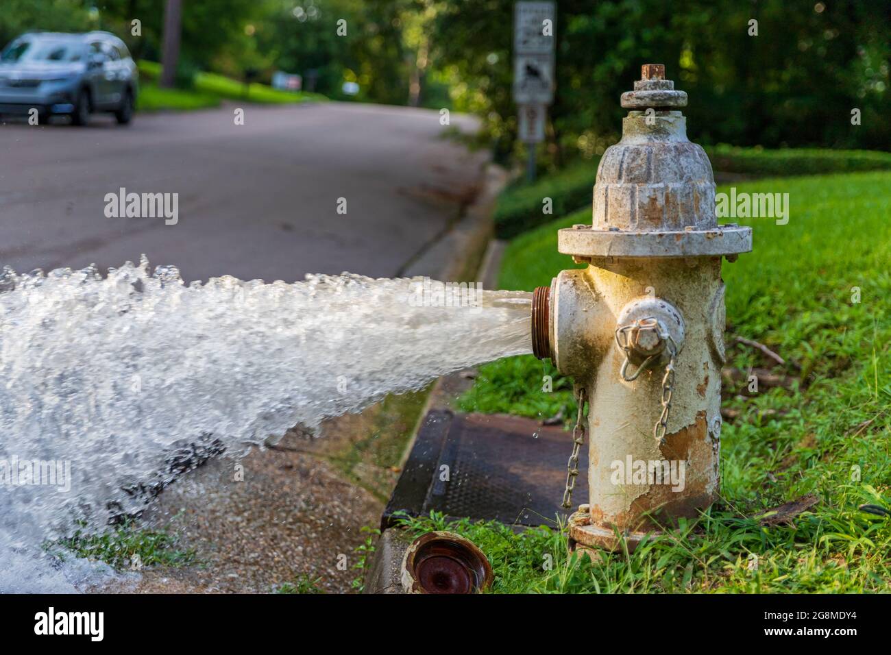 Water Flowing from open Fire Hydrant Stock Photo