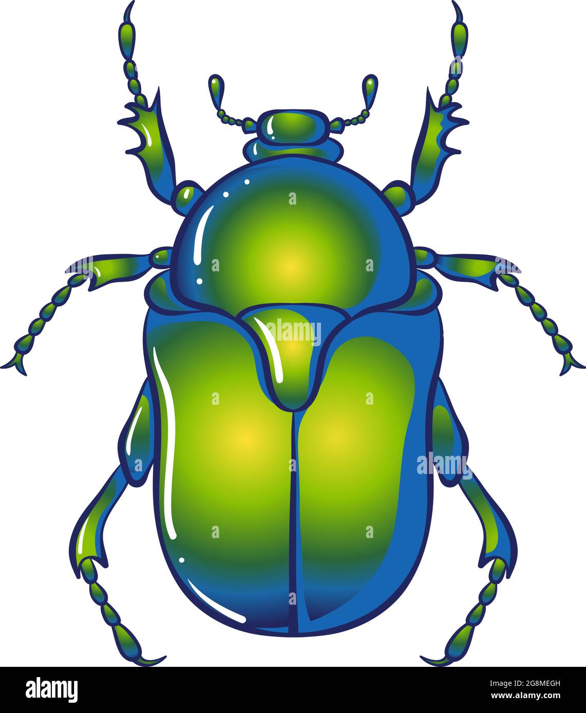 Insect chafer green beetle Stock Vector Image & Art - Alamy