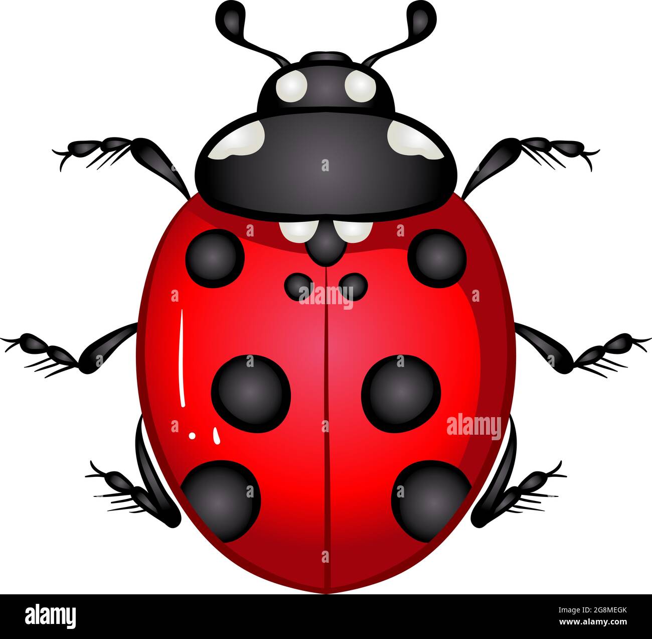 Insect Ladybug Beetle Stock Vector Image And Art Alamy 