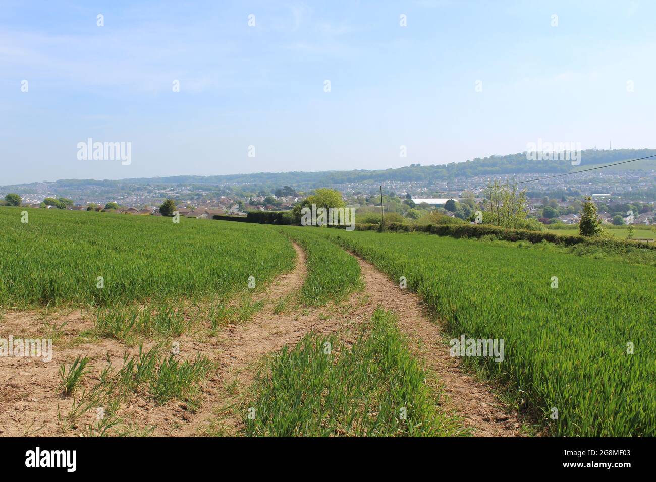 landscapes of farmland grass and crops with pleasant views Stock Photo