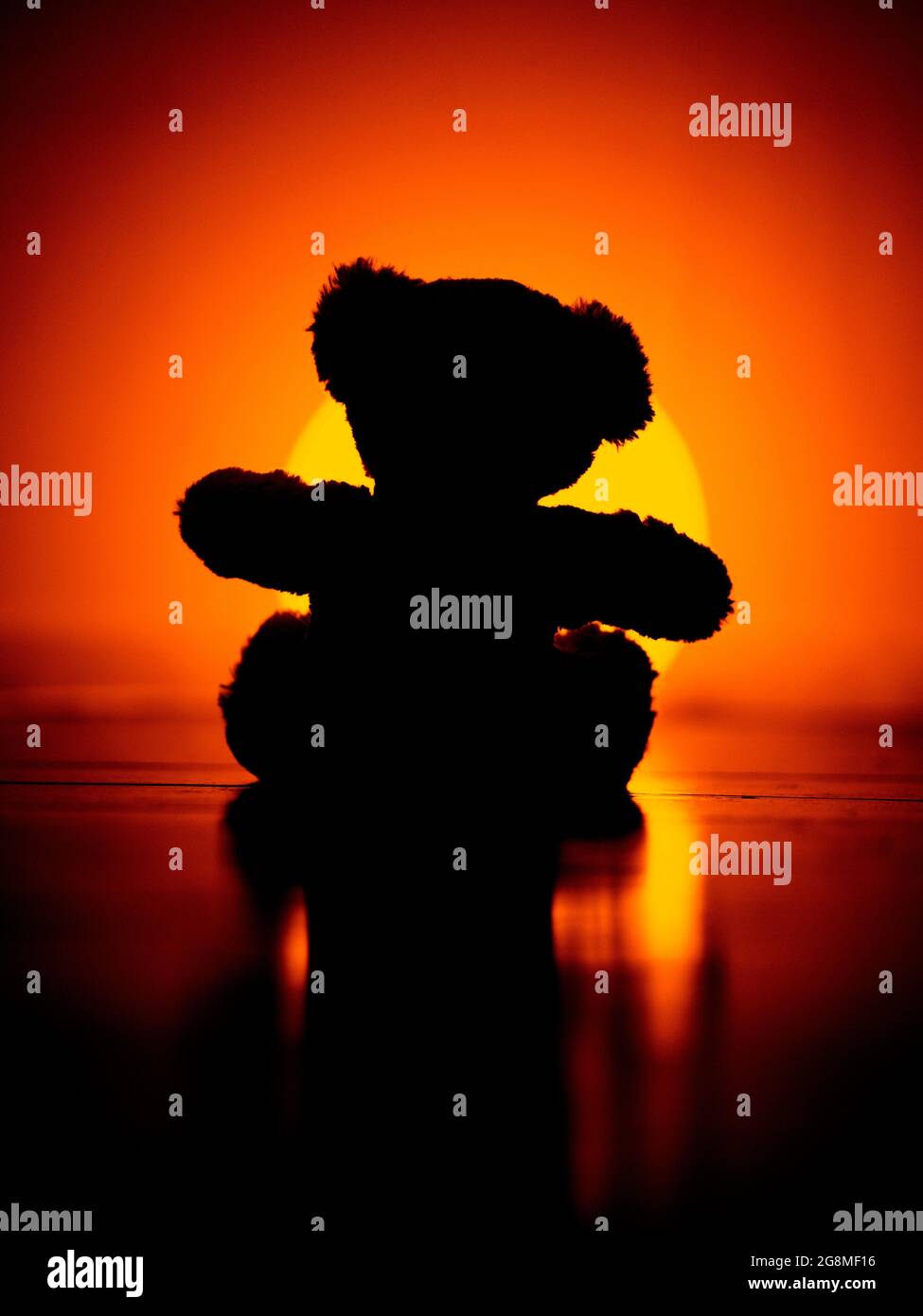 Book cover concept - Childhood - Silhouette of a teddy bear on the floor Stock Photo