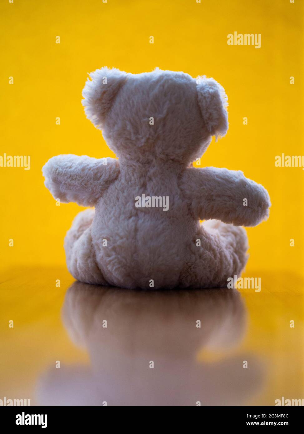 Book cover concept - Childhood - Rear view of a teddy bear on a yellow ...