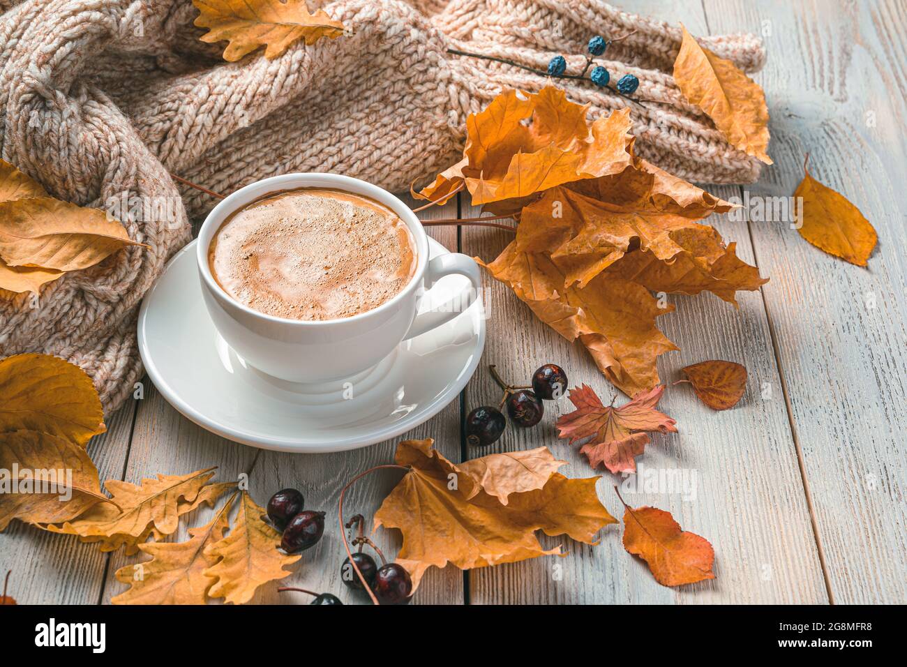A cup of coffee on an autumn morning against the background of foliage and  a sweater. Side view, copy space Stock Photo - Alamy
