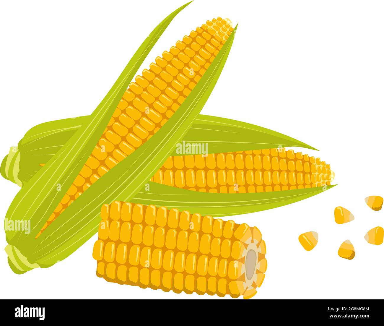 Set of corn cobs with leaves and grains Stock Vector Image & Art - Alamy