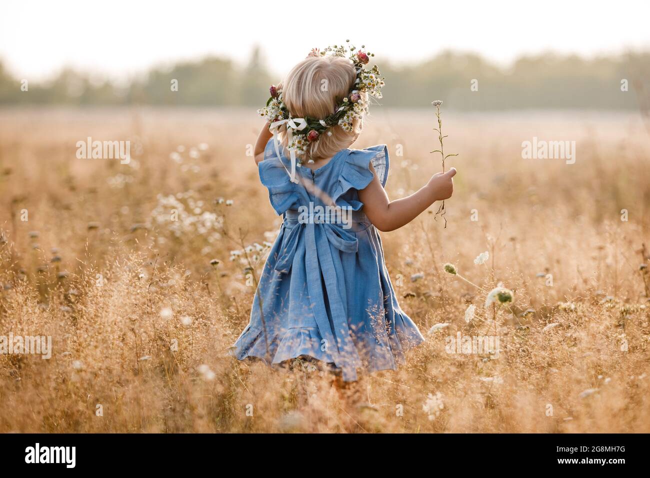 little girl is wearing a flower wreath on her head in a field on summer ...