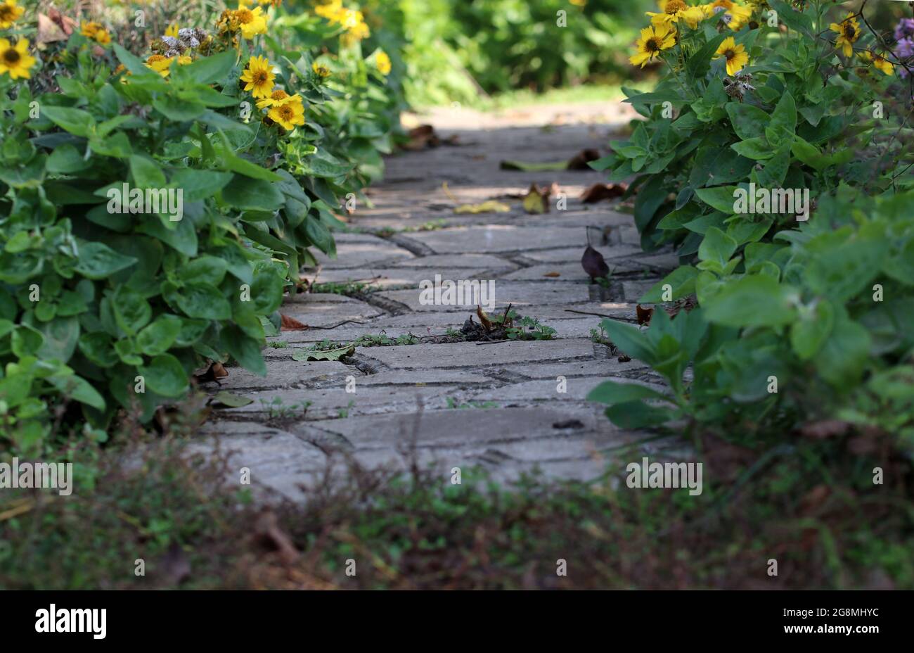 Concrete path in the garden Stock Photo