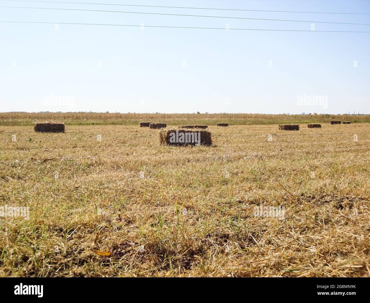 Agricultural field with straw bales after harvest Stock Photo - Alamy