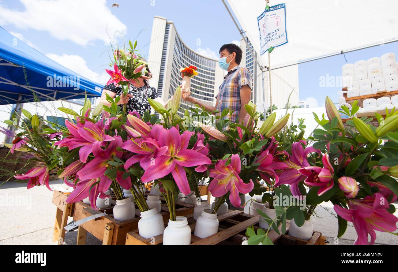 Toronto, Canada. 21st July, 2021. Flowers are for sale at Nathan Phillips Square Farmers' Market in Toronto, Canada, on July 21, 2021. With fresh fruit, vegetables, honey, maple syrup and flowers, the market opens every Wednesday from May 26 to Oct. 13 this year. Credit: Zou Zheng/Xinhua/Alamy Live News Stock Photo