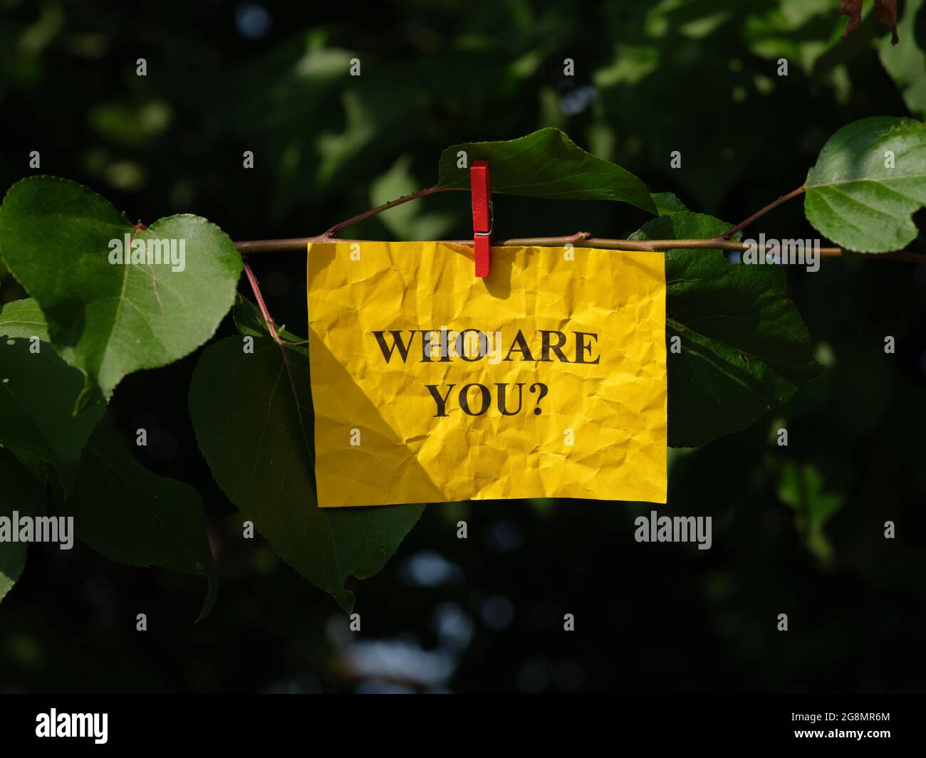 A yellow paper note with the question Who are you on it hanging of a ...