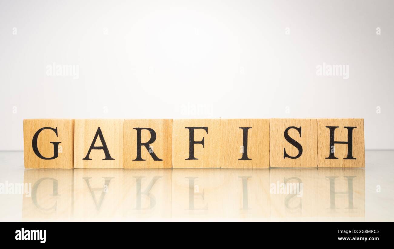 The word garfish was created from wooden letter cubes. Seafood and food. close up. Stock Photo
