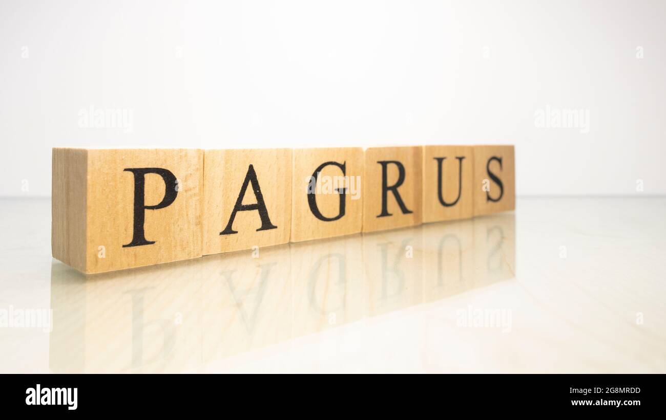 The word Pagrus was created from wooden letter cubes. Seafood and food. close up. Stock Photo