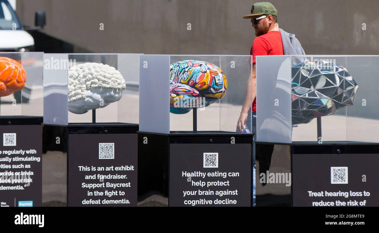 Toronto, Canada. 21st July, 2021. A man looks at brain sculptures at ...