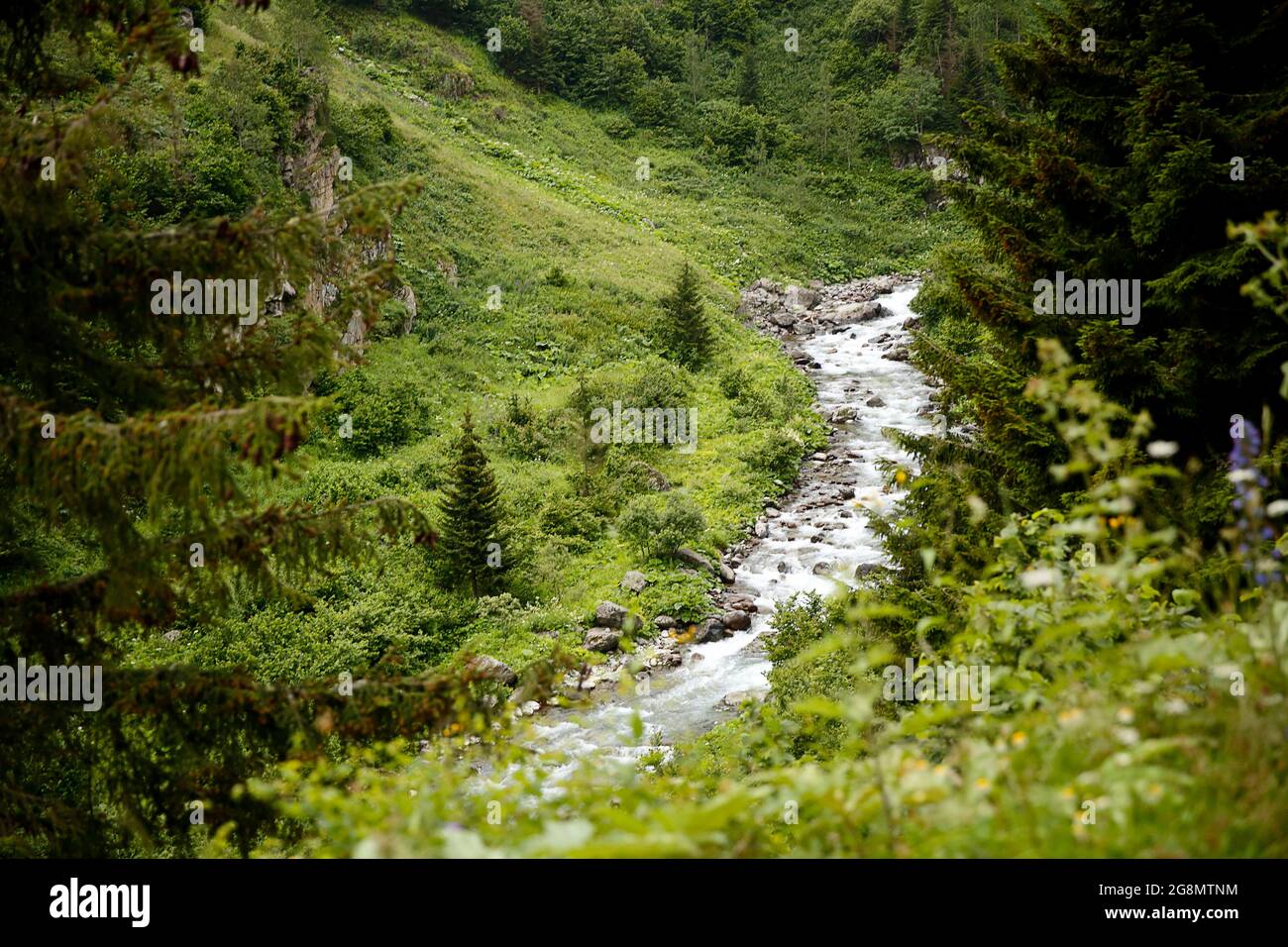 Karadeniz Rize Turkey Karadeniz Rize Cat Village Stream, Turkey, Plateau View Stock Photo - Alamy