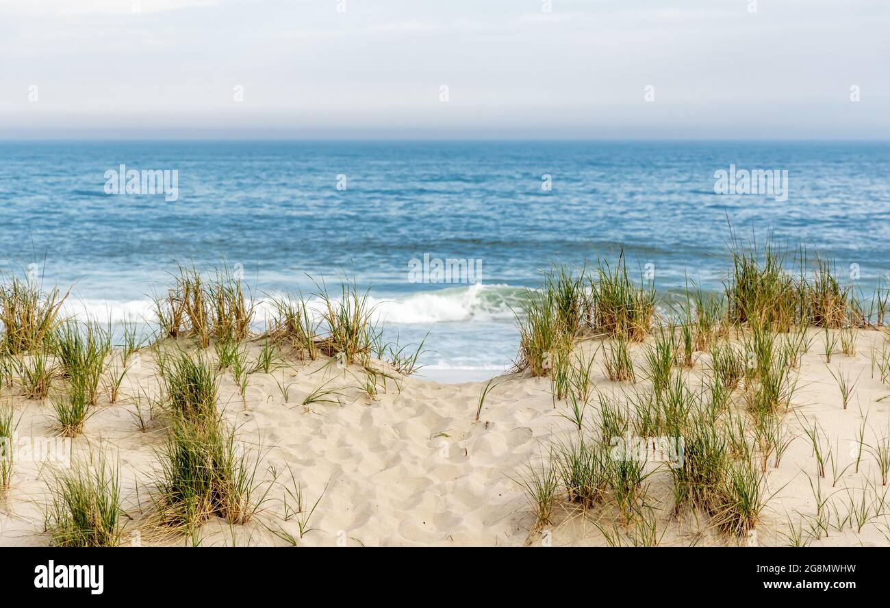 Southampton ocean beach landscape Stock Photo