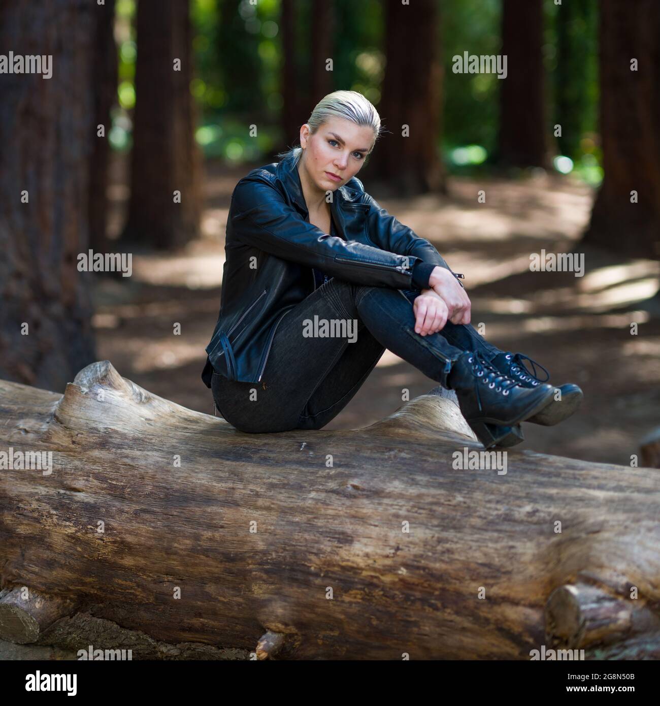 Young woman on large fallen redwood log in redwood grove Stock Photo