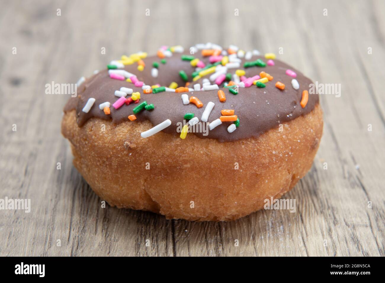 Overhead view of chocolate raised donut is textured with colored