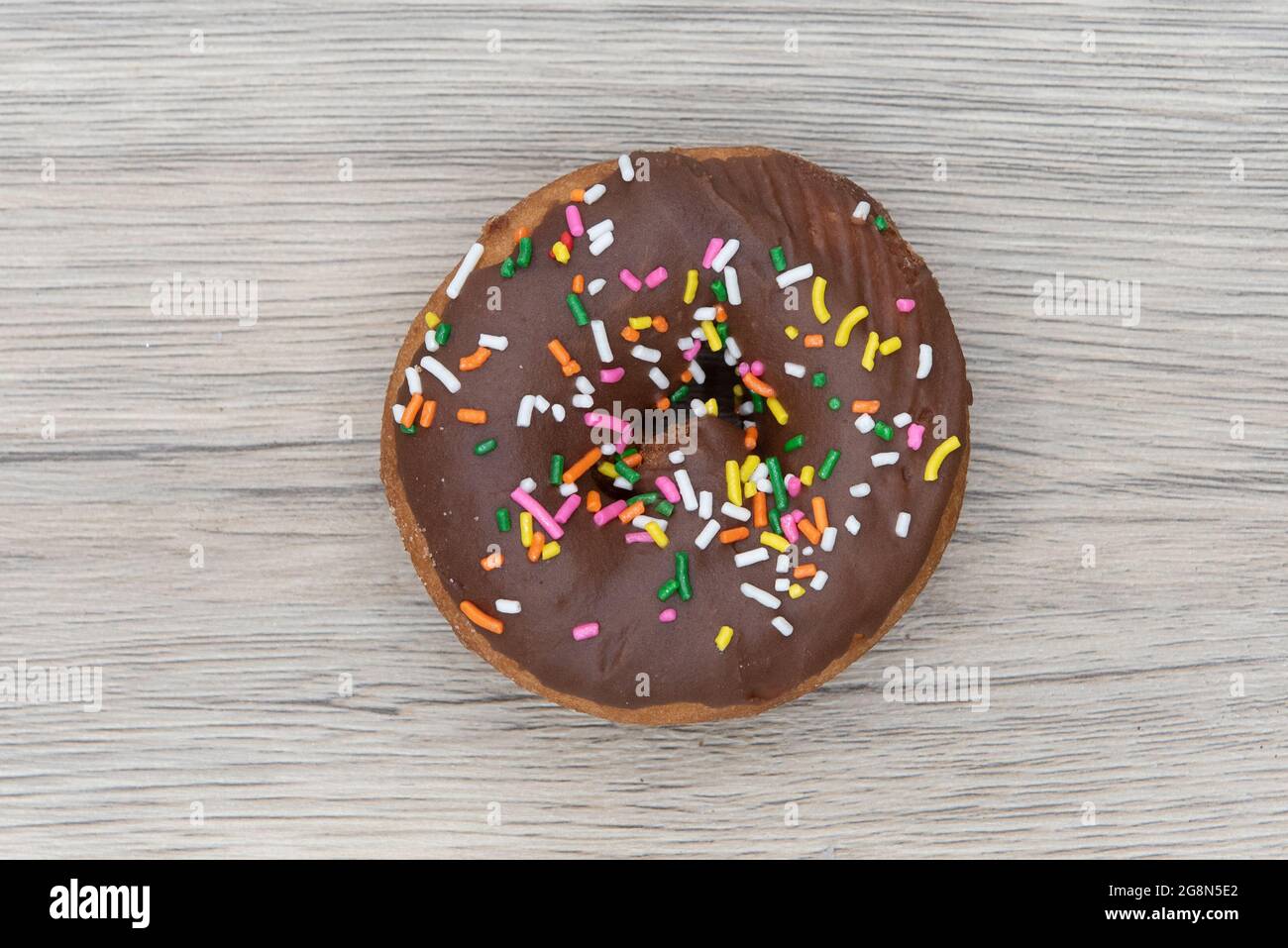 Overhead view of chocolate raised donut is textured with colored