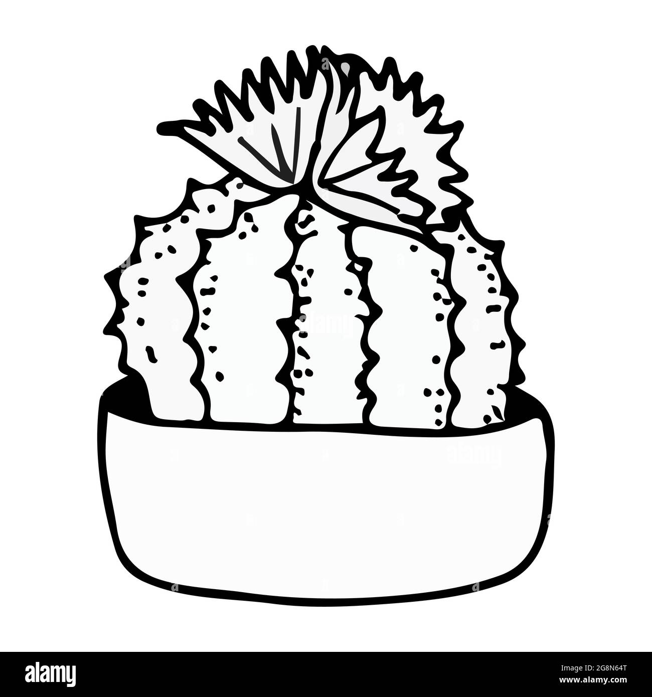 doodle illustration cactus black on white Stock Vector Image & Art - Alamy