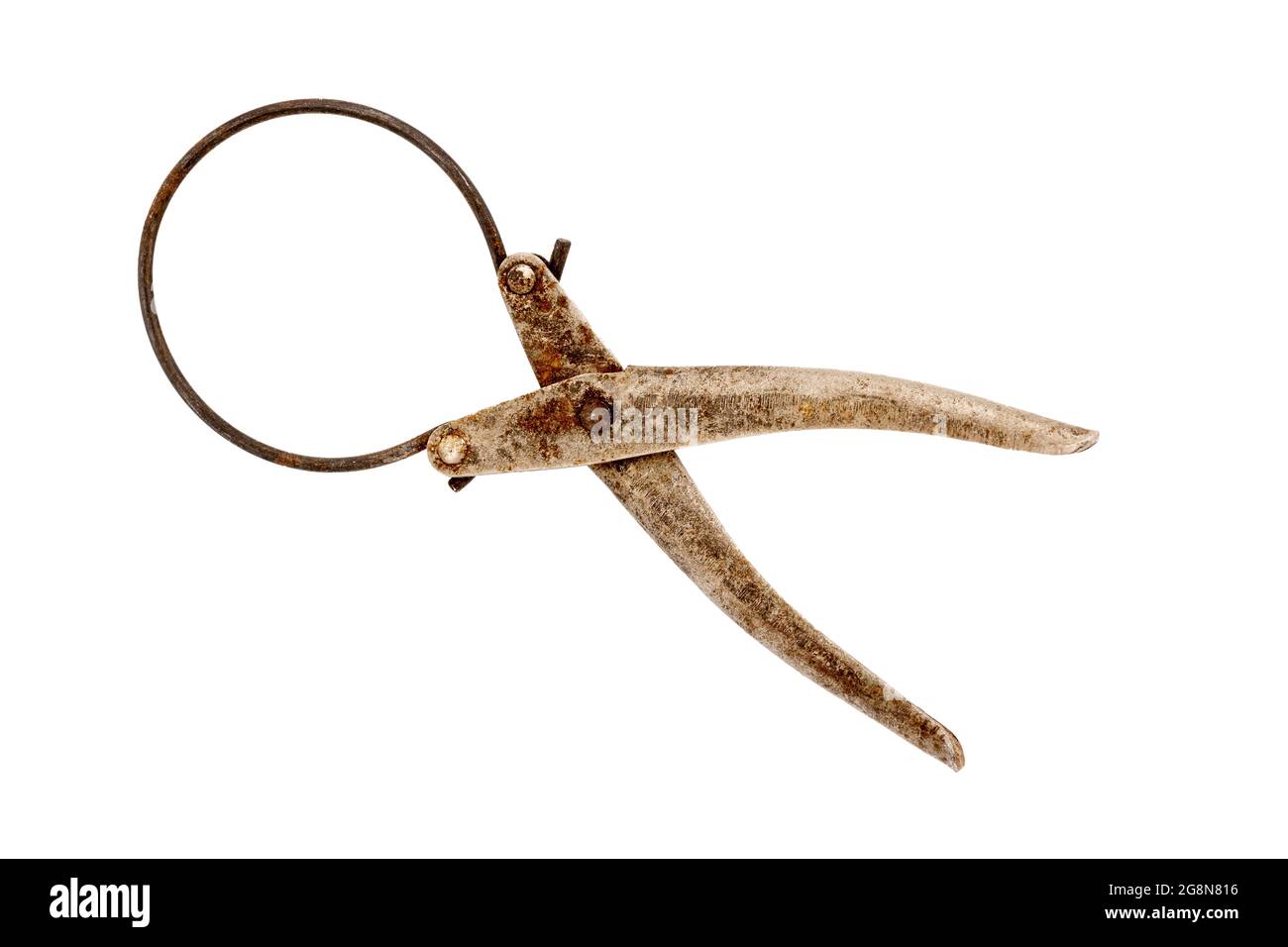 Antique Jar Opener On White Background Stock Photo Alamy