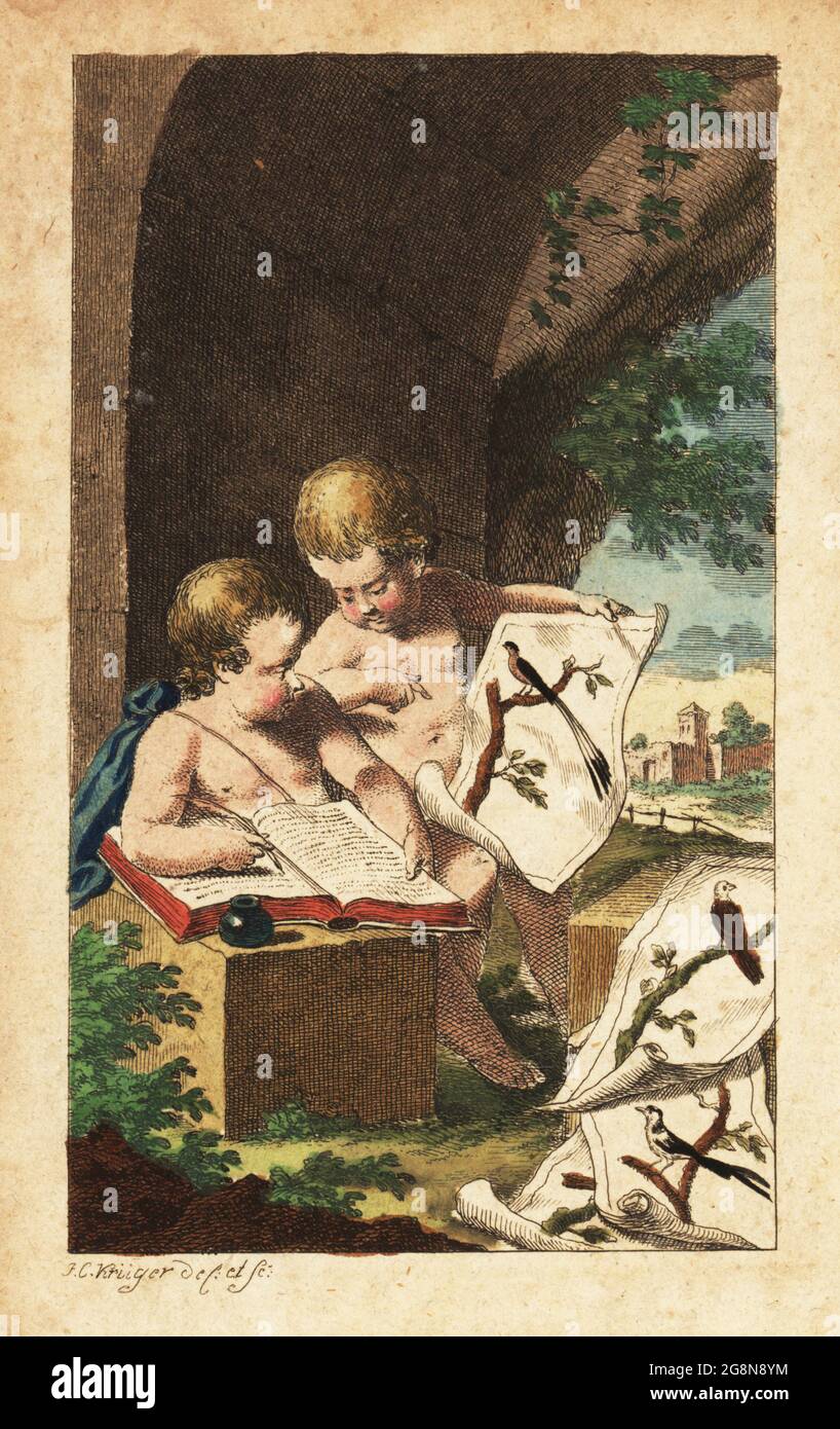 Frontispiece with two young cherub ornithologists writing in a book while looking at prints of birds, 18th century. Handcoloured copperplate engraving drawn and engraved by Johann Conrad Kruger from Bernhard Christian Otto's Herrn von Buffons Naturgeschichte der Vogel, Buffon's Natural History of Birds, Ben Joachim Pauli, Berlin, 1772. Stock Photo