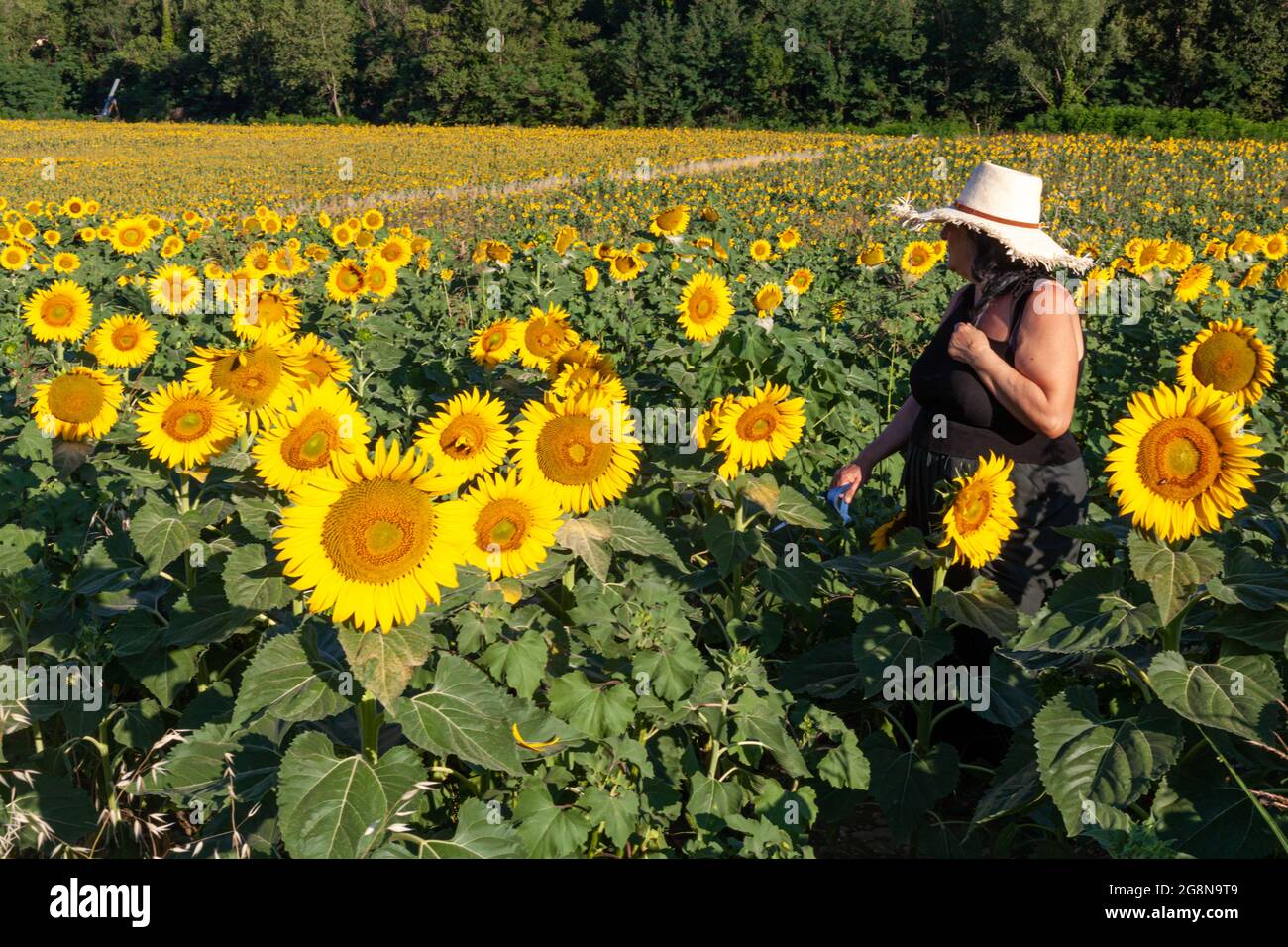 Female farmer wearing straw hat hi-res stock photography and images - Alamy