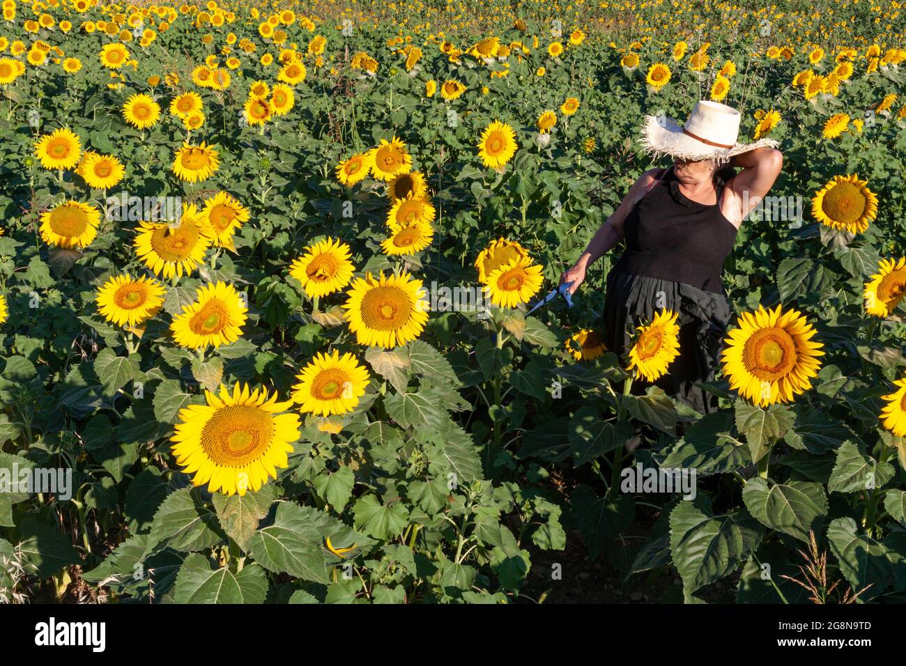 Female farmer wearing straw hat hi-res stock photography and images - Alamy
