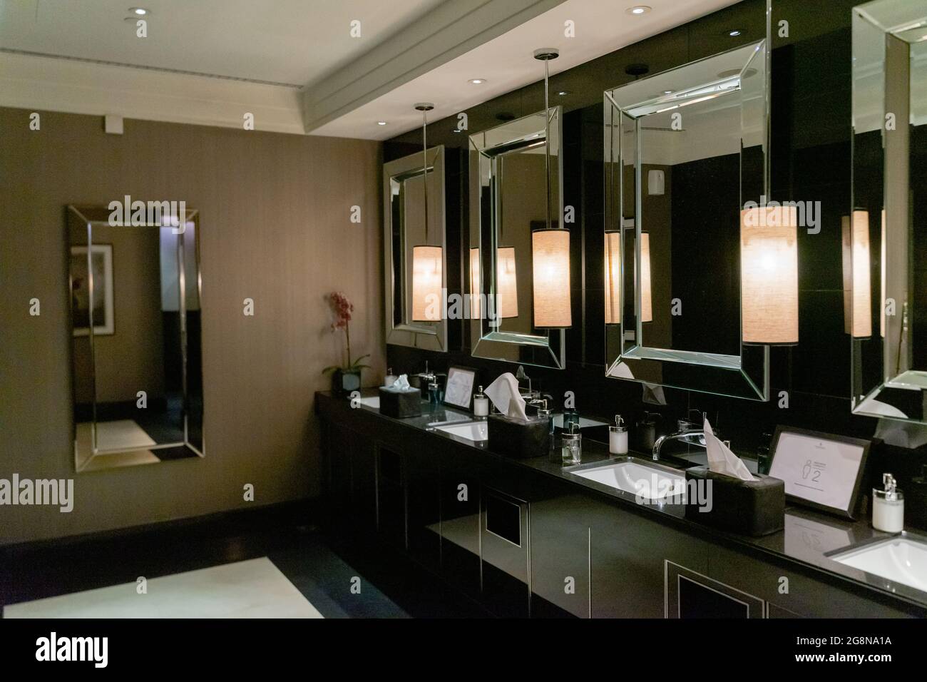 Luxury Hotel Lobby Bathrooms