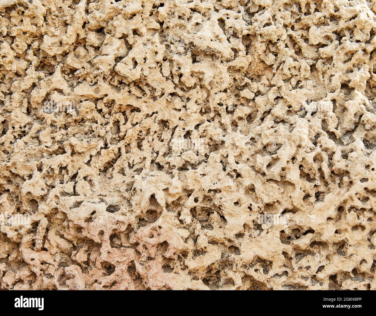 Normal Stone Natural stone texture and surface background in high resolution Stock ...