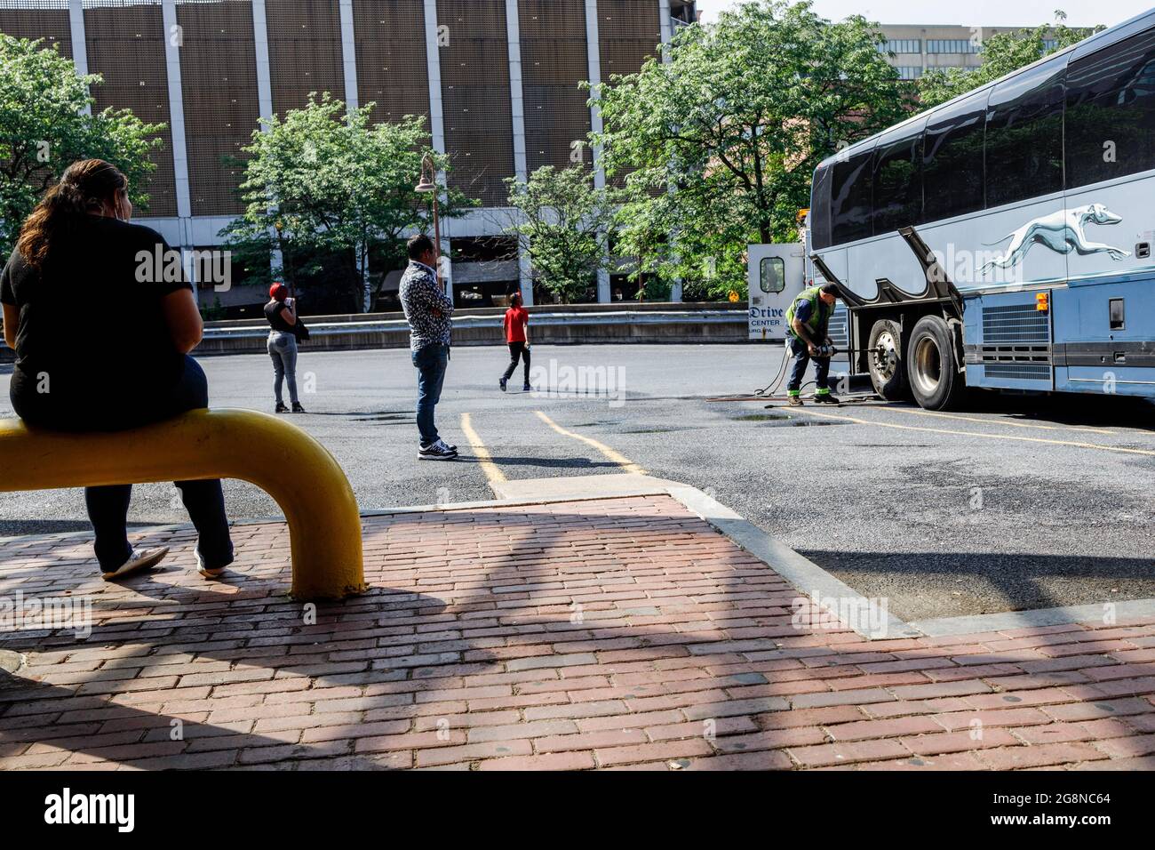 Cataloguing hires stock photography and images Alamy