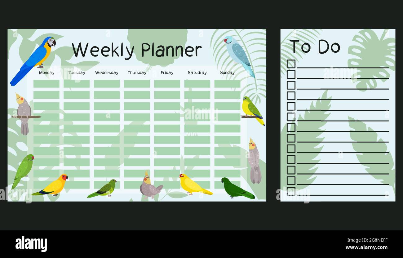 Weekly planner and To do list template with parrots in cute cartoon style.  Schedule design for kids. Greens background. Monday to sunday week Stock  Vector Image & Art - Alamy