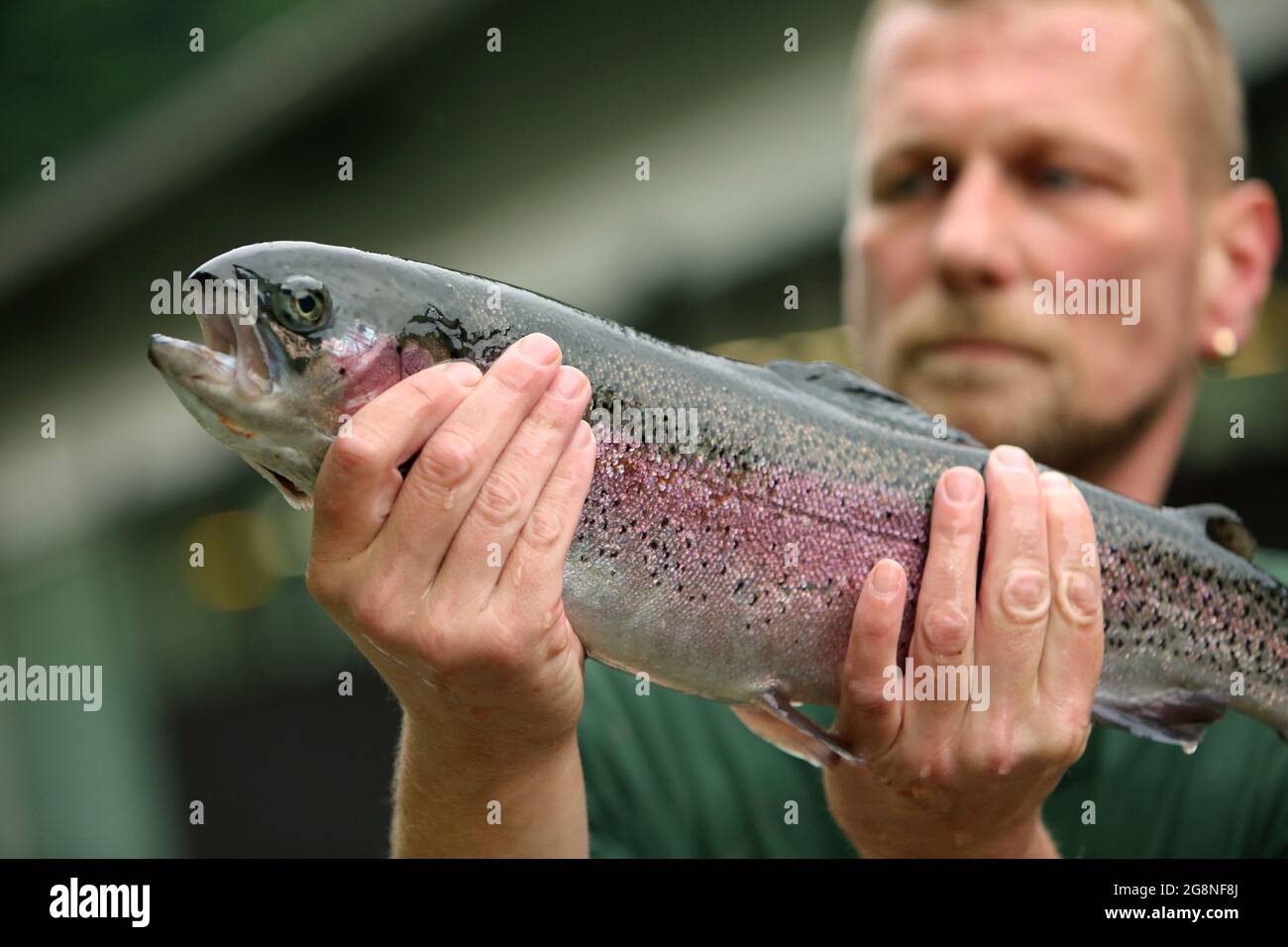 Daniel schwank hires stock photography and images Alamy