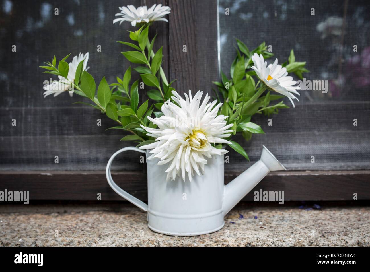 Old tin watering can reused  as a vase. Fresh white flowers decor over windowsill Stock Photo