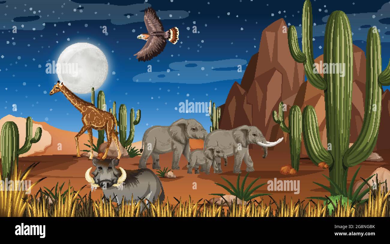 Animals live in desert forest landscape at night scene illustration Stock Vector Image & Art - Alamy Animals live in desert forest landscape at night scene illustration Stock Vector Image & Art - Alamy