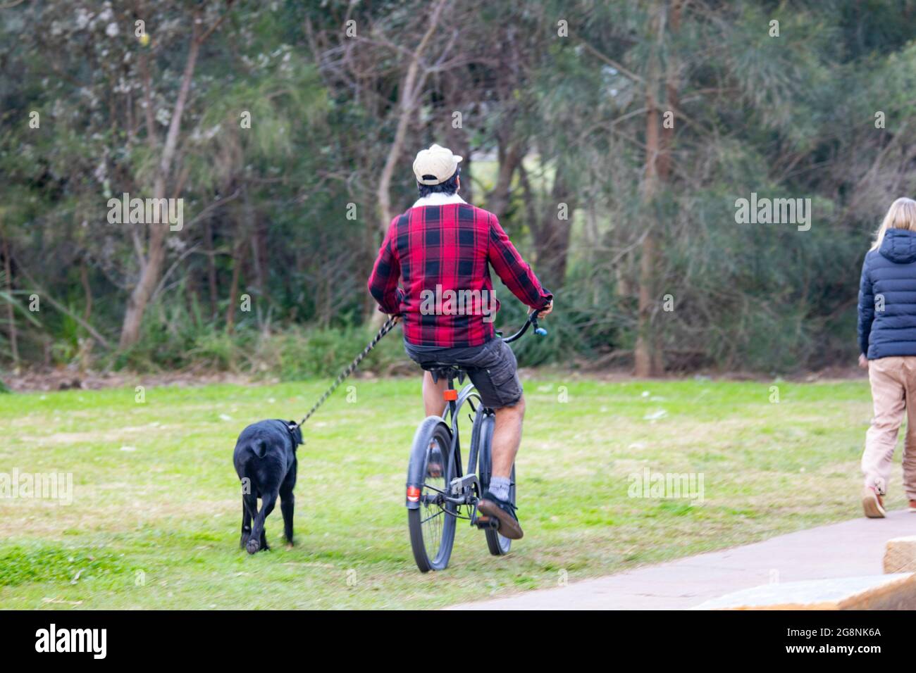 Australian man riding his bicycle and exercising his dog who is running alongside,Sydney,NSW,Australia Stock Photo