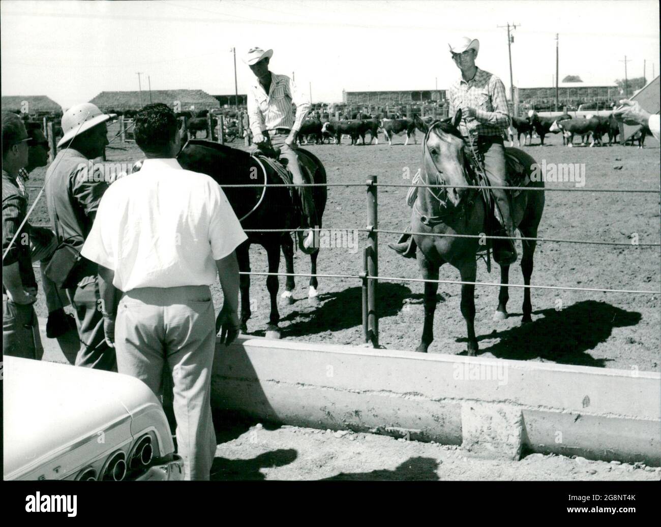 Foto zur NDR-Sendung "Das andere Amerika" von Werner Baecker ausgestrahlt am 23. Oktober 1964 im Deutschen Fernsehen. Das NDR-Kamerateam bei Aufnahmen texanischer Cowboys auf einem riesigen Viehverladungsgebiet. Stock Photo