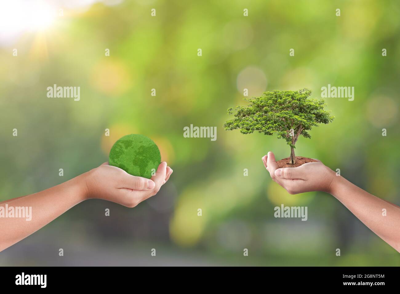 Hands holding earth globe tree in hi-res stock photography and images ...
