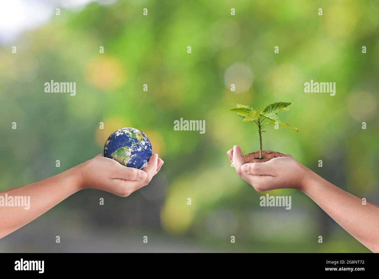 Hands holding earth globe and tree over green nature background. Saving ...