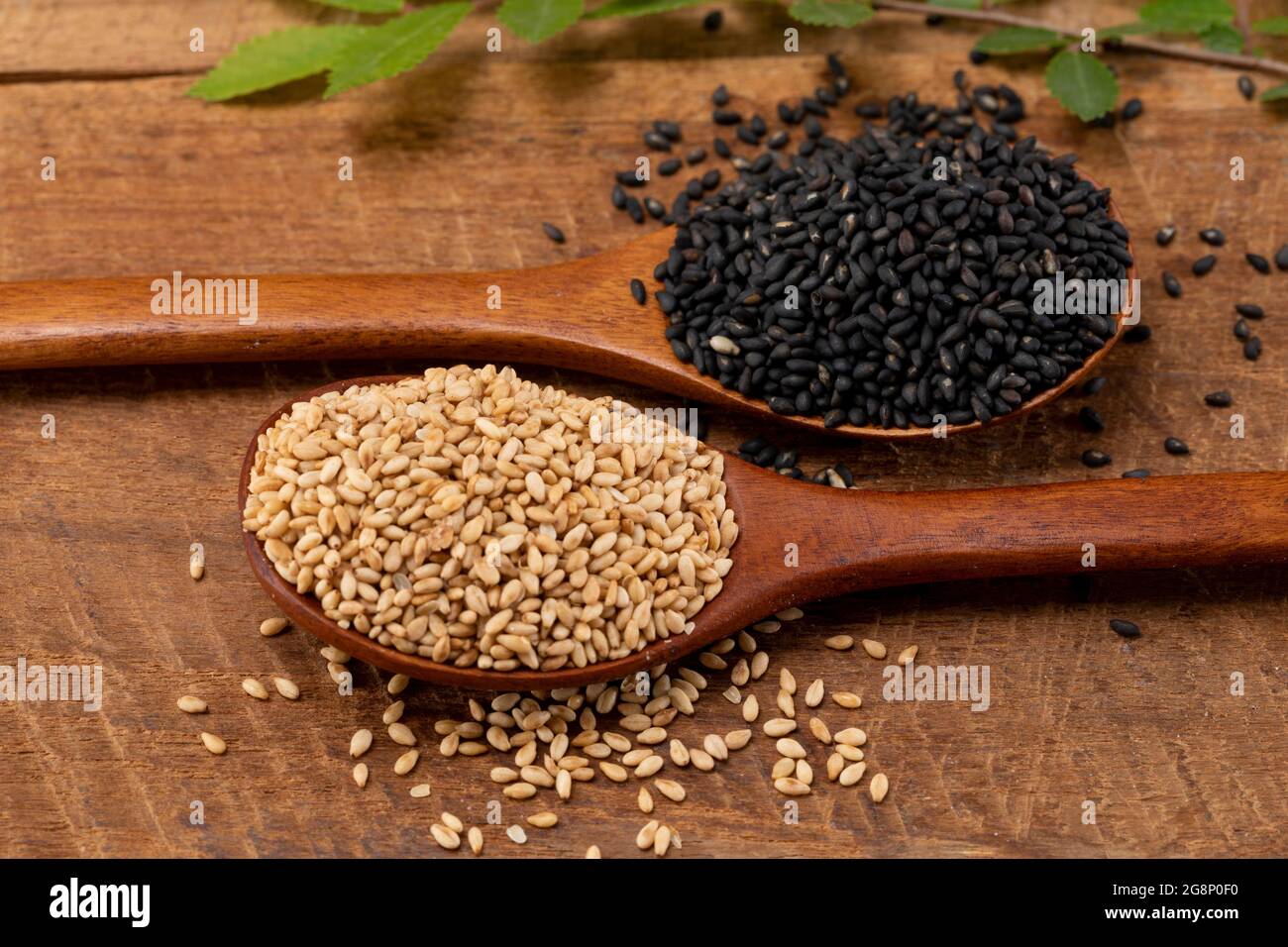 sesame seed and black sesame seed Stock Photo Alamy