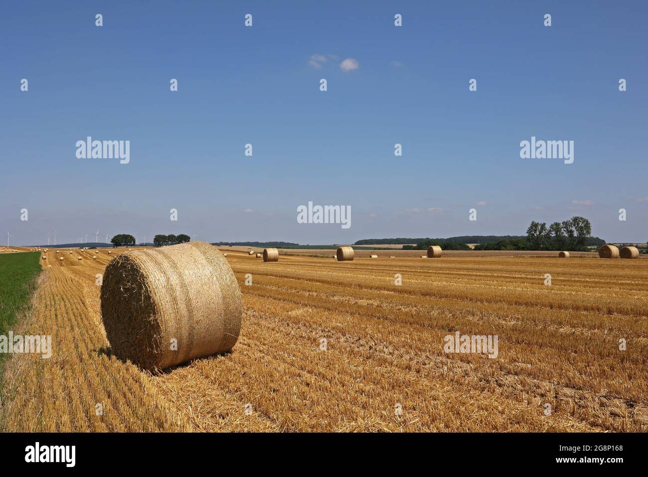 Harvested field with several rolled hay bales in Summer Stock Photo - Alamy