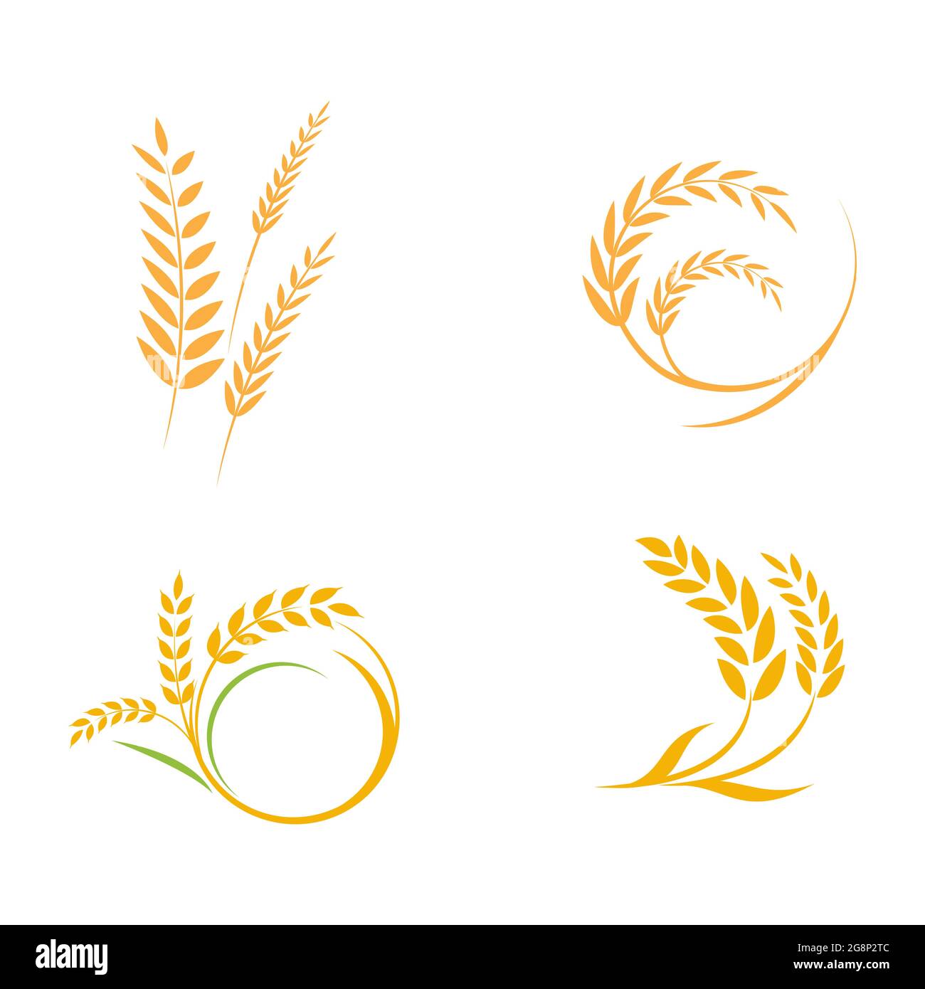Agriculture wheat rice vector icon design template Stock Vector Image ...