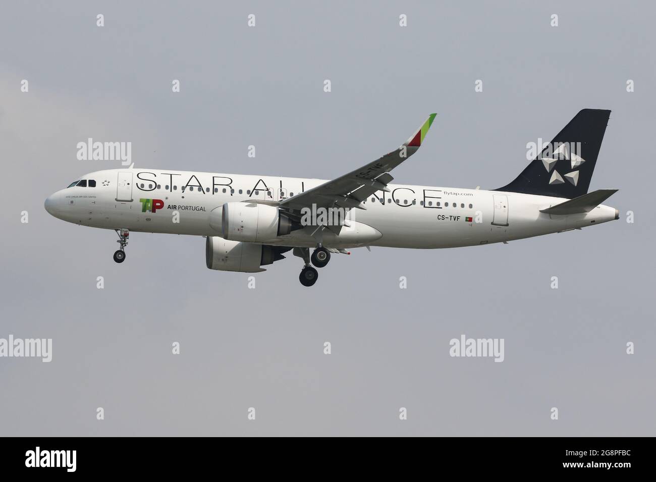 An Airbus A320 flying for TAP Air Portugal, wearing a special Star Alliance  livery, arrives at London Heathrow Airport Stock Photo - Alamy
