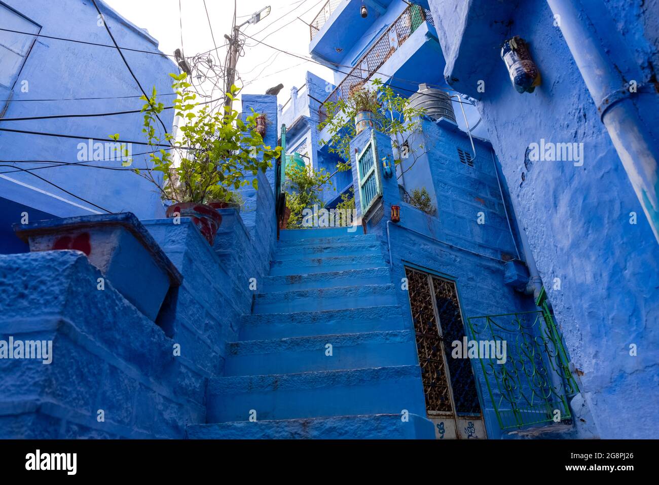 JODHPUR, RAJASTHAN, INDIA - JULY 2021: The bright blue color street and ...