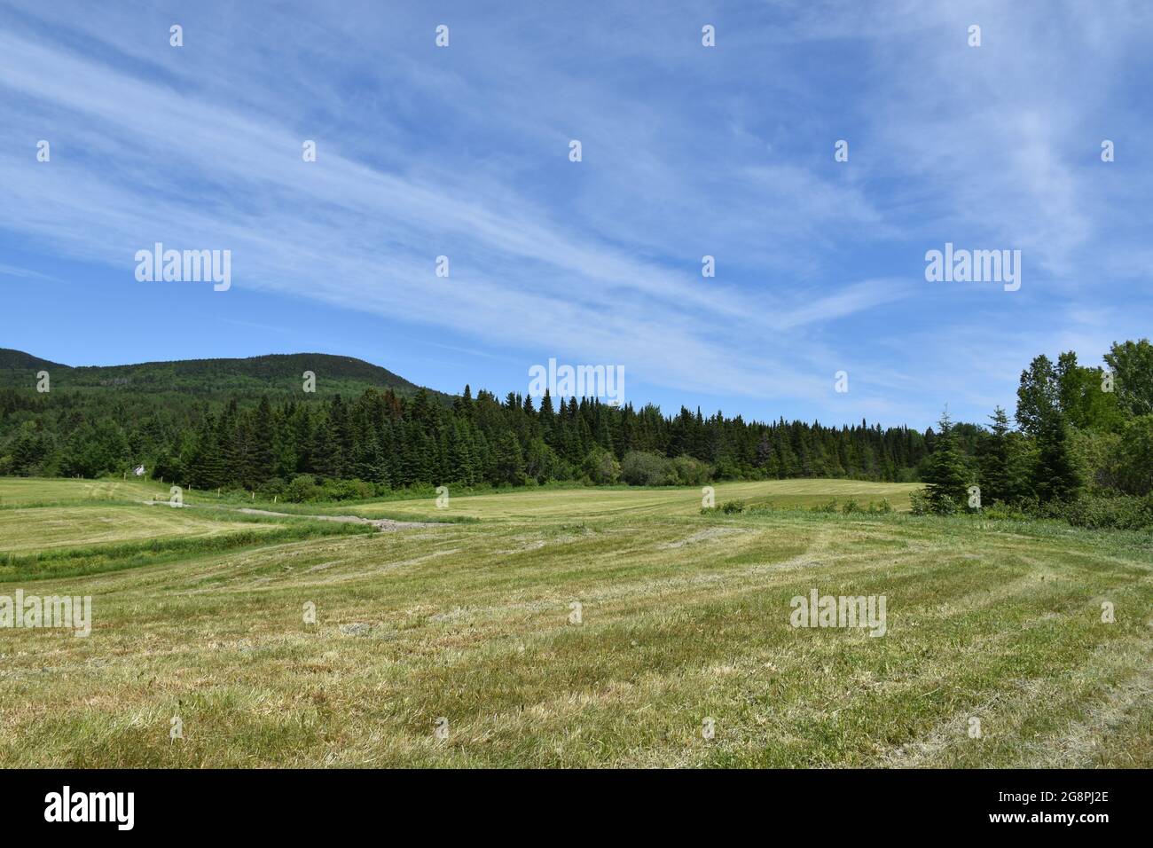 A field after harvest under a blue sky Stock Photo - Alamy